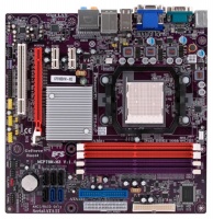 EliteGroup Socket AM2+/AM2 MCP78M-M3 (GF8100VM-M3),4DDR2 1066*Dual,PCI-E2.0x16,Video,GLAN, 6SATA2,RAID,mATX,RTL