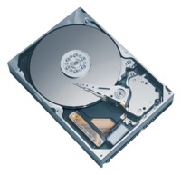 Seagate-Maxtor 320Gb 7200rpm UDMA100  STM3320820A  8Mb (DiamondMax 21)