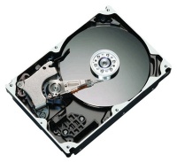 Seagate-Maxtor 250Gb 7200rpm Serial ATAII-300  STM3250310AS  8Mb (DiamondMax 21)