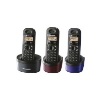 Panasonic KX-TG1313RU4 (3  - ,   )