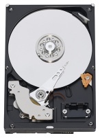 Western Digital 1Tb 5400rpm Serial ATAII-300 WD10EACS 16Mb