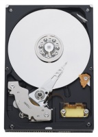 Western Digital 500Gb 7200rpm Serial ATAII-300 WD5000AAKB 16Mb