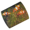 HAMA Clownfish (рыбки)