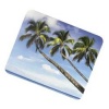 HAMA Palm Trees, 180х220х3 мм (пальмы)