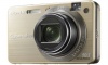 Sony CyberShot DSC-W170 Gold 10.1Mpx,3648x2736,640480 video,5 .,15Mb,MSPD-Card,142